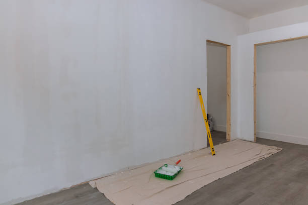 Best Ceiling Drywall Installation  in Carbondale, IL