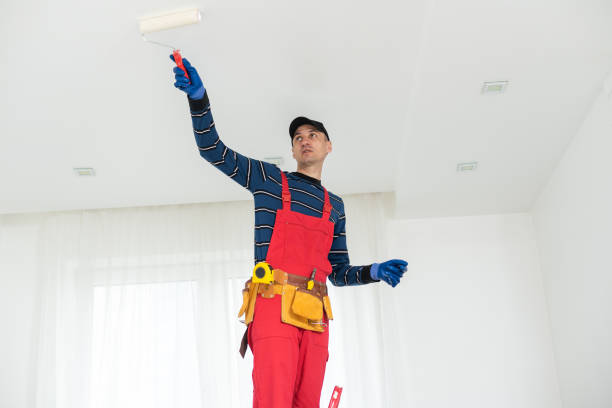 Best Interior Painting  in Carbondale, IL