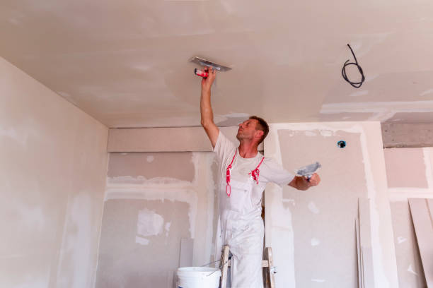 Best Fire-Damaged Drywall Repair  in Carbondale, IL